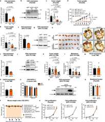 Extended Data Fig. 3