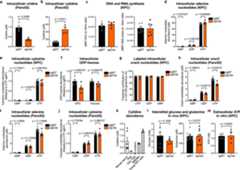 Extended Data Fig. 5