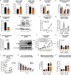 Extended Data Fig. 4