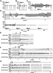 graphic file with name cdg601f4.jpg