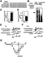 graphic file with name cdg601f6.jpg