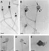 FIG. 13