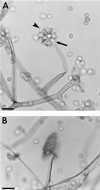 FIG. 16