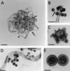 FIG. 17