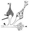 FIG. 15