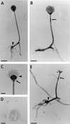 FIG. 14