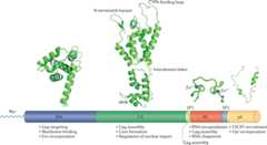 Figure 2 |