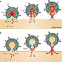 Figure 4 |