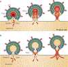 Figure 4 |
