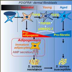 graphic file with name nihms-1517033-f0008.jpg