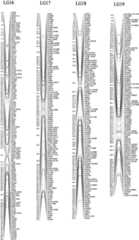 Figure 3.