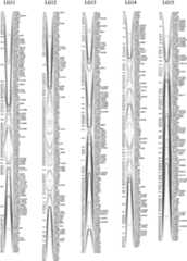 Figure 3.