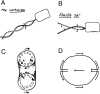 Fig. 5.