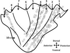 Fig. 4