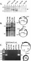 FIG. 4.