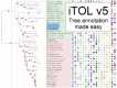 Graphical Abstract