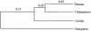 Figure  2