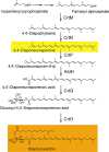 FIG 1