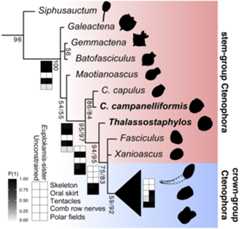 Figure 5