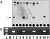 Fig 2.