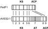 Fig 4.