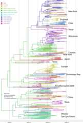 Figure 4—figure supplement 2.