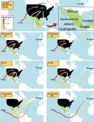 Figure 4—figure supplement 1.