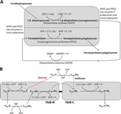 FIG 2