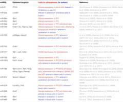 graphic file with name fpsyt-03-00039-i001.jpg