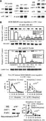 <b>FIG. 9.</b>