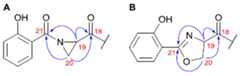 Fig. 9