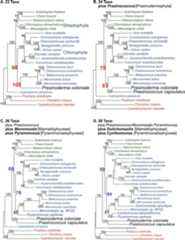 Extended Data Fig. 2