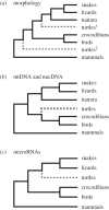 Figure 1.