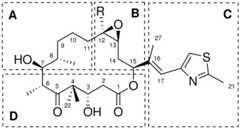 Scheme 2
