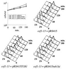 FIG. 5.