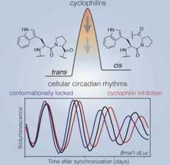 graphic file with name nihms869601u1.jpg