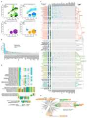 Extended Data Fig. 1