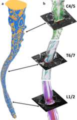 Fig. 3