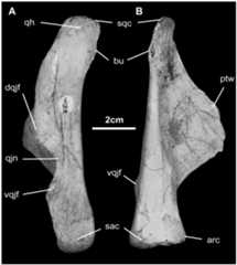 Fig 10
