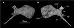 Fig 28