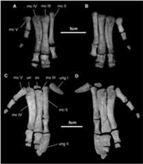 Fig 26