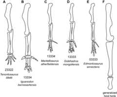 Fig 34