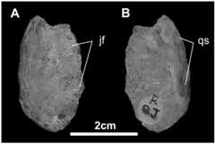 Fig 11