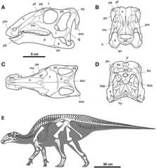 Fig 33