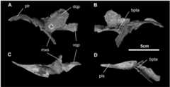 Fig 13