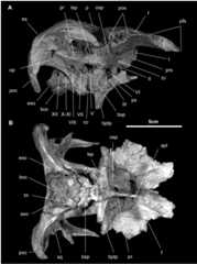 Fig 8