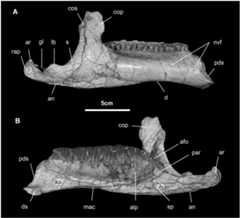 Fig 15