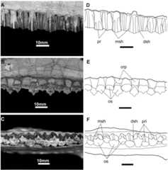 Fig 16