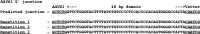 Figure 6—figure supplement 2.