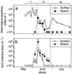 FIG. 1